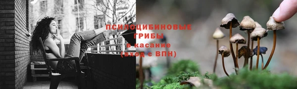 прущая мука Алексин