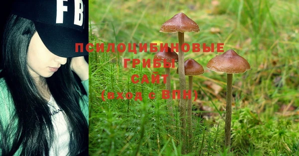 MESCALINE Алексеевка