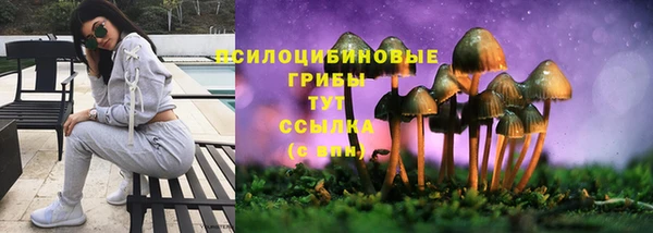 герыч Алзамай