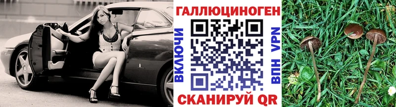 где купить наркоту  Апатиты  Галлюциногенные грибы Psilocybe 