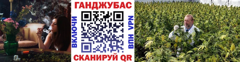 Бошки Шишки планчик  где купить наркоту  Апатиты 